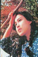 《开放的部落》台湾版观看