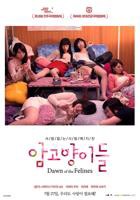 《雌猫们》_在线播放免费播放-科幻片