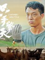 《一柱擎天》电影