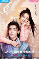 陆剧《护心》全集高清免费在线观看