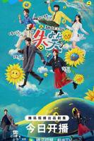 电视剧《失笑》高清完整版免费在线观看-