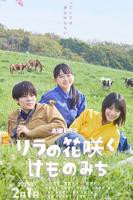 丁香花免费观看在线看电视剧