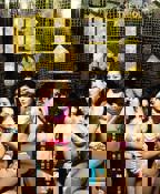 《《鸭王3》》电视剧免费播放-全集视频45分钟-