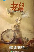 老舅电视剧免费观看全集完整版