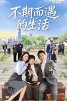 《不期而遇的生活》全集高清在线观看_